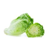 LISTNA ZELENJAVA SOLATA COS 9 KOS