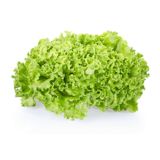 LISTNA ZELENJAVA SOLATA GENTILA 9 KOS