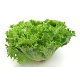 LISTNA ZELENJAVA SOLATA GENTILA 9 KOS