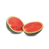 PLODOVKE L'ORTO FRUTTIFERO LUBENICA 4/1 SUGAR BABY KULTIPAK