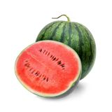 PLODOVKE L'ORTO FRUTTIFERO LUBENICA MINIROSSA F1 1/1 L10