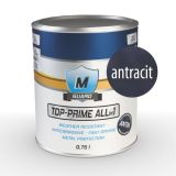 M-GUARD TOPCOAT ANTIK METAL RAL 7016 ANTRACIT SIVI 0,75L