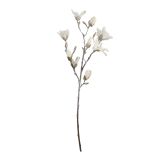 SVILENO CVETJE MICA MAGNOLIJA ZASNEŽENA BELA D100CM