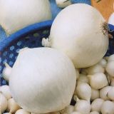 ČEBULČEK MAJSKI SREBRNJAK 0.5 KG