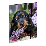 MAPE TARGET Z ELASTIKO A4 ANIMAL BABY 27472