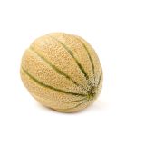 PLODOVKE L'ORTO FRUTTIFERO CEPLJENA MELONA 1/1 CALIBRO F1 L14