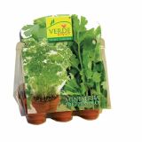 VRTNARSKI PRIPOMOČEK VERDE VIVO MINI RASTLINJAK ZELIŠČA