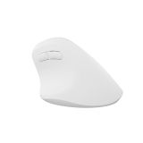 MIŠKA/KAZALNIK NATEC CRAKE 2 BREZŽIČNA