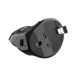 MIŠKA/KAZALNIK TRUST BREZŽIČNA