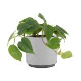 KERAMIČNI NOTRANJI LONEC NÉRIA 18 CM SIV