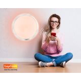 NADGRADNA SMART SVETILKA CARRY-S 30W CCT,+1X5W RGB FI 530MM