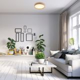 NADGRADNA STROP. SVETILKA RABALUX LEANA2 12W D26CM BUKEV