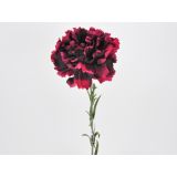 NAGELJ VEJICA 60CM, VIJOLA