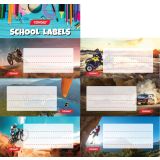 NALEPKE TARGET 6/1 ADRENALINE 27289