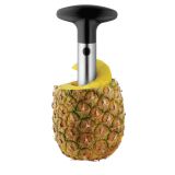 REZILO WMF ZA ANANAS