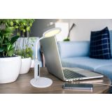 NAMIZNA SVETILKA GLOBO FRUGGY SIVA