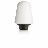 NAMIZNA SVETILKA PHILIPS WELLNESS 1X15W E27 40802/74/16 BUKEV, TEMNA