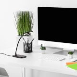 NAMIZNA SVETILKA RABALUX HARDIN 5W V29CM ČRNA