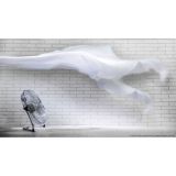 NAMIZNI VENTILATOR CECOTEC FORCESILENCE 4300 PRO PROFESIONALNI