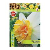 POMLADI CVETOČA ČEBULICA HOLLAND BULB MARKET NARCISA DVOJNA PETIT FOUR 12/14 5 KOS