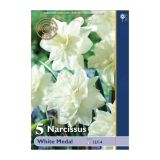 POMLADI CVETOČA ČEBULICA HOLLAND BULB MARKET NARCISA DVOJNA WHITE MEDAL 12/14 5 KOS