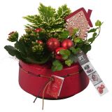 NASAD ZIMSKI NOTRANJI PTCHR7204 L17 CM