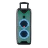 KARAOKE BLUETOOTH ZVOČNIK NGS WILD RAVE 1