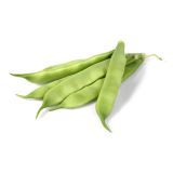 STROČNICE L'ORTO FRUTTIFERO NIZEK FIŽOL 6/1 MARCONI KULTIPAK