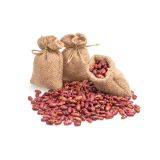 STROČNICE L'ORTO FRUTTIFERO NIZEK FIŽOL 6/1 ROSSO DI LUCA KULTIPAK