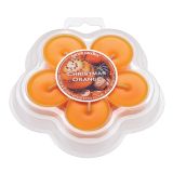 ČAJNA SVEČA MULLER 5/1BOŽIČNA POMARANČA