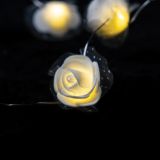 NOVOLETNE LUČKE, VERIGA - ROŽICE, 10 LED LUČK, BELE BARVE