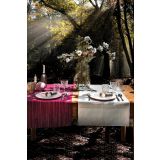 NAMIZNI TEKAČ AMO LA CASA NY SILVER SKATES 45X140CM SORTIRANO