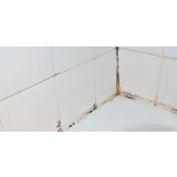 ODSTRANJEVALEC PLESNI HENKEL ACC CERESIT STOP PLESEN ALL IN ONE 500 ML