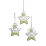 OKRASEK ZA JELKO R+W ZVEZDA KOVINSKA 10 CM SORTIRNAO ZELENE BARVE