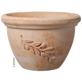 GLINENI ZUNANJI LONEC DEROMA OLIVE SKLEDA TERRACOTTA 18CM