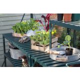 OPREMA ZA RASTLINJAK VITAVIA ALU MIZA 2 RAVNI 121X54X76CM. SMARAGDNA