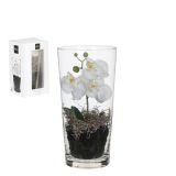 UMETNO CVETJE MICA ORHIDEJA BELA V ŠKATLI V30XP15CM