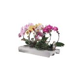 ORHIDEJA OBLIKOVANA KROG L12