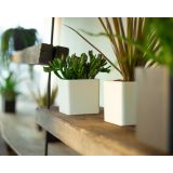 PE NOTRANJI LONEC OSLO KVADRATEN 17CM BEL