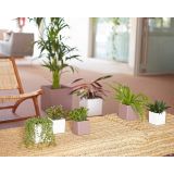 PE NOTRANJI LONEC OSLO KVADRATEN 17CM TAUPE