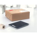 ELEKTRONSKA TEHTNICA SOEHNLE PAGE PROFI 15KG/1G