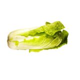 KAPUSNICE L'ORTO FRUTTIFERO PAK-CHOI 4/1 PACK CHOI F1 KULTIPAK