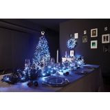 PAMETNE LUČKE TWINKLY 250 BELE - VERIGA