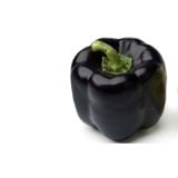 PLODOVKE L'ORTO FRUTTIFERO PAPRIKA ČRNA 1/1 TEQUILA F1 L10