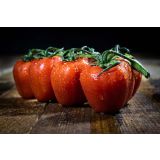 PLODOVKE L'ORTO FRUTTIFERO PARADIŽNIK 1/1 BRIC L10