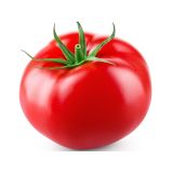 PLODOVKE L'ORTO FRUTTIFERO PARADIŽNIK BODAR F1 4/1 KULTIPAK