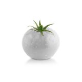 PLODOVKE L'ORTO FRUTTIFERO PARADIŽNIK COCKTAIL BEL 1 CHERRY BIANCO L10