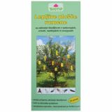 PAST ZA INSEKTE BIOTIP LEPLJIVE PLOŠČE MALE 10 KOS