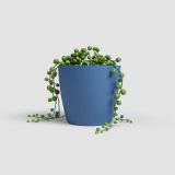 PE NOTRANJI LONEC ARTEVASI SAN REMO 12 CM MODER