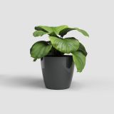 PE NOTRANJI LONEC ARTEVASI SAN REMO 30 CM ANTRACIT